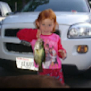 Meet your Posher, Amelia